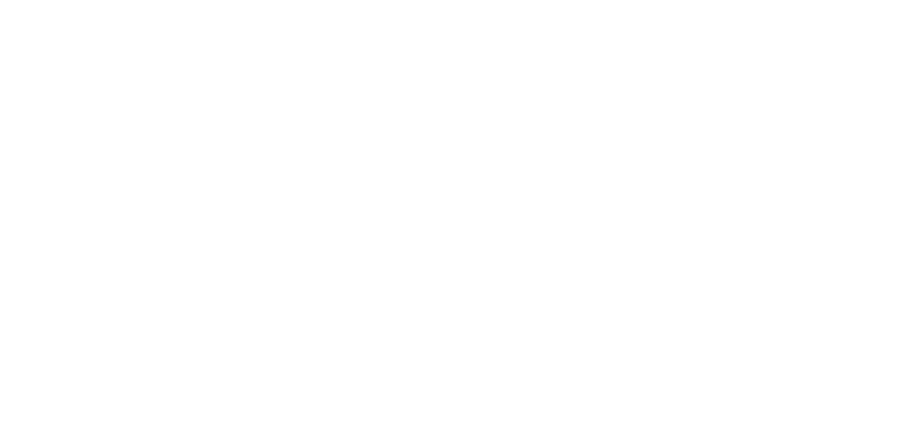 Ran Consultancy logo